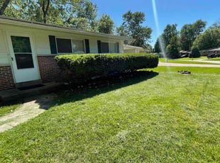 Gozie U.'s Lawn Mowing service result