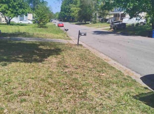 Leaf Removal by Walter Taylor for rebecca d. in Richmond, VA