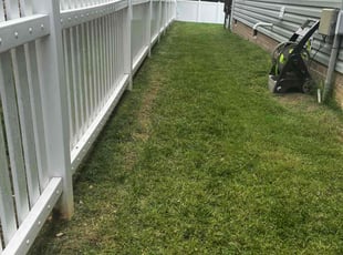 Sheila H.'s Lawn Care service result