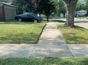 Cleanups by Ricardo Binyard Jr for Melba R. in Sterling Heights, MI