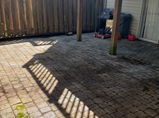 Cleanups by Nemesio Hernandez for Dan H. in Leesburg, VA