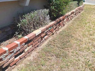 Michele A.'s Bush Trimming service result