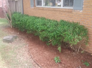 Landscaping by Demetrius Curry for Taylor C. in Tulsa, OK