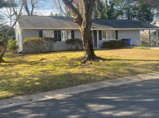 Bush Trimming by Ace Morris for Shaunna P. in Bowie, MD