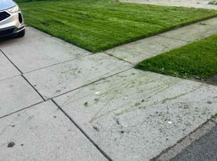 Chris H.'s Lawn Maintenance service result