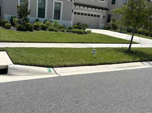 Samia B.'s Yard Cutting service result