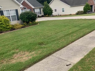 Weeding by Willie McCoy for Wendell B. in Dacula, GA