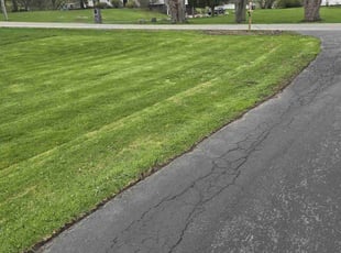 Leaf Removal by Heather Mehlhorn for Christyn B. in Victor, NY