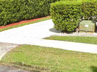 Bush Trimming by Cam M for Chad G. in Weston, FL