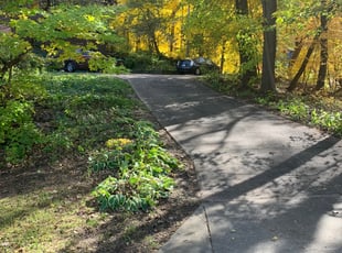 Leaf Removal by Carlos Sarinana for Stephanie S. in Plymouth, MN