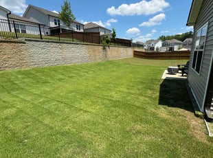 Ruth S.'s Lawn Mowing service result