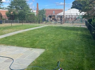 Dedra M.'s Lawn Mowing service result