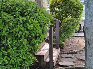 Leaf Removal by Truman Mason for John F. in Millsboro, DE