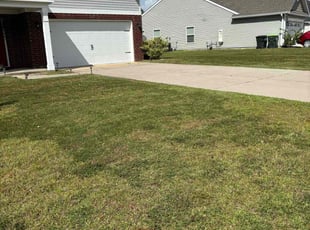 Tammy G.'s Yard Cutting service result