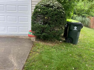Bush Trimming by Carlos Gomez for Mike W. in Apex, NC