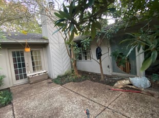Leaf Removal by Mark Terry for VJ M. in Houston, TX
