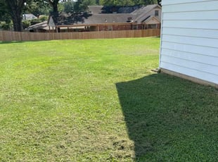 Tasheka A.'s Lawn Care service result