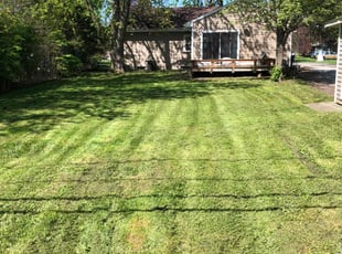 Ronald F.'s Lawn Mowing service result