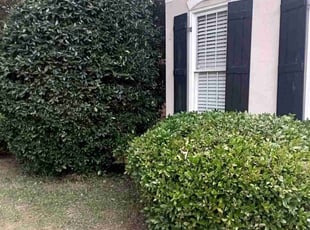 Leaf Removal by Enrique Juarez for Jacklyn P. in Kennesaw, GA