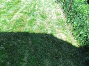 Cleanups by Amilcar Patrick for Kay S. in Lowell, MA