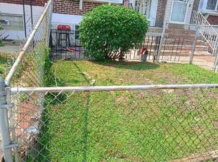 Leaf Removal by Martin Ortiz Cortez for Caleb O. in Philadelphia, PA