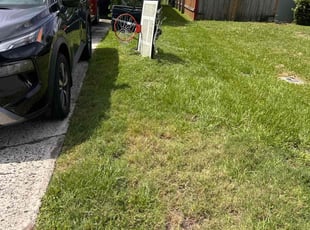 Cleanups by Hector's Lawncare C for Andrea T. in Winter Park, FL