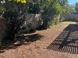 Bush Trimming by Louis Nelson for Dorothy A. in Grand Prairie, TX