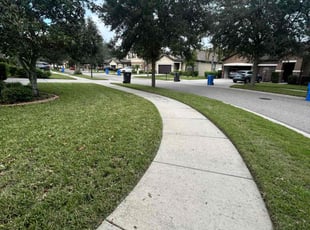 Kamia S.'s Lawn Mowing Service service result