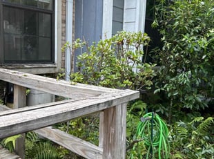 Bush Trimming by Terrain Lewis for Yousseline H. in Tallahassee, FL