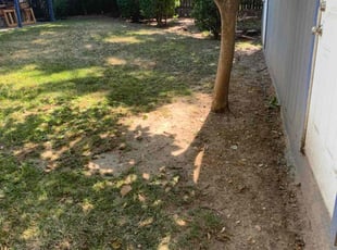Leaf Removal by Jonathan Allen for phillip C. in Carmichael, CA