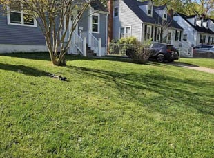 Kevin L.'s Lawn Maintenance service result