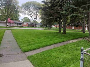 Bryant C.'s Lawn Mowing Service service result