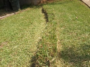 Landscaping by Alan Hollis for Caitlin M. in Tallahassee, FL