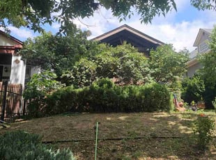 Bush Trimming by Josh Brown for Jackson W. in Denver, CO