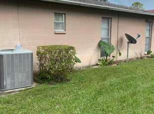 Bush Trimming by Ramona Lara for M. in Valrico, FL
