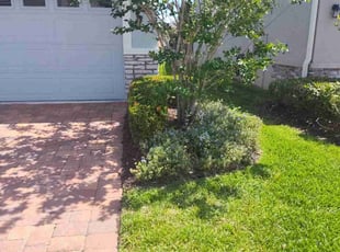 Bush Trimming by Robert Dixon for Melissa G. in Kissimmee, FL