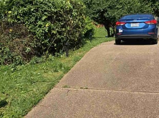 Bush Trimming by Terrence Hawkins for Samuel B. in Annandale, VA
