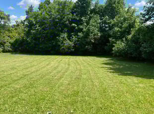 Fred H.'s Yard Cutting service result