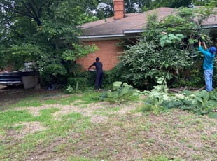 Bush Trimming by Shameem Mohmand for Mary P. in Dallas, TX