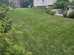 Charlie H.'s Lawn Care service result