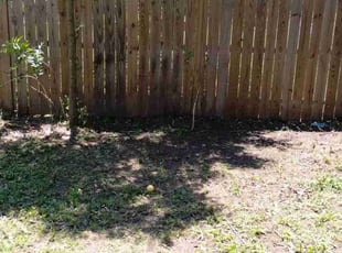 Cleanups by Bradley Wilson for BRIAN L. in Cleburne, TX