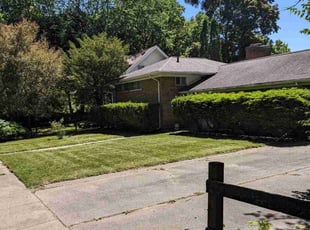 Lisa F.'s Lawn Mowing service result