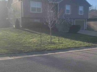 Cedric W.'s Lawn Mowing service result