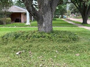Weeding by Nicole Ross for Sally D. in Houston, TX