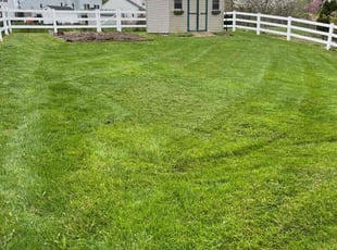 Linda D.'s Lawn Service service result