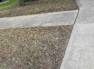 Cleanups by Toni Singsonexay for Cortlan E. in San Antonio, TX