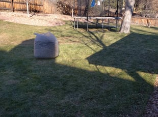 Leaf Removal by Carlos Mendoza for ALAINA h. in Centennial, CO