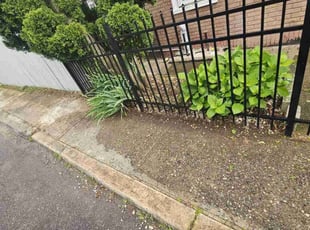 Cleanups by Branden Reichard for Theresa N. in Phoenixville, PA