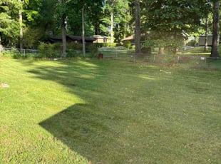 Nadine C.'s Lawn Maintenance service result