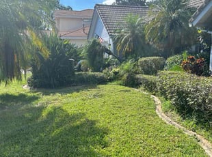 Bush Trimming by Tavares Parks for Cynthia C. in Titusville, FL